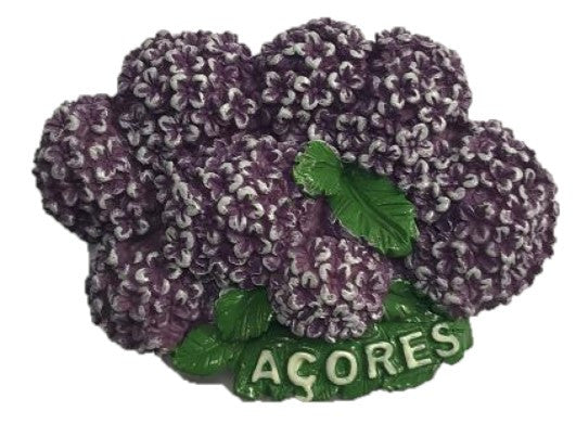 Iman em Resina - Açores - PT-LS5003