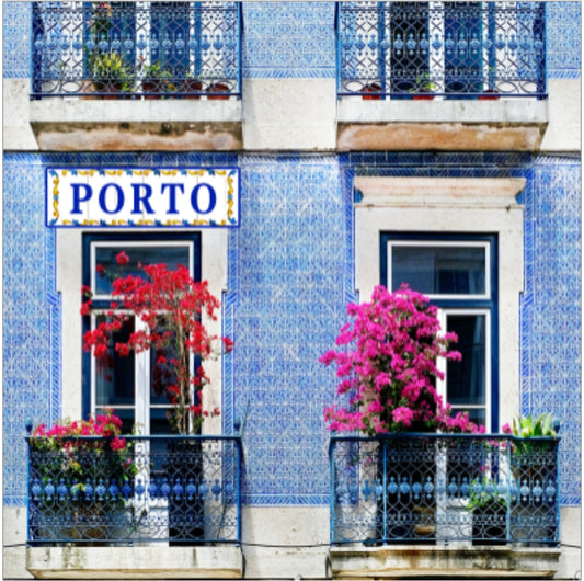 Iman de Resina - PT-LS8575 - Porto
