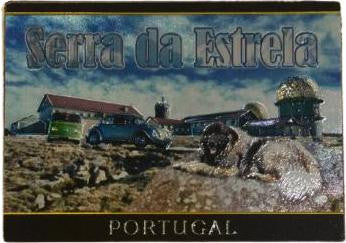 Iman de Chapa - Serra da Estrela - PT-SZ1135