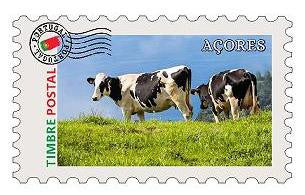 Iman em Chapa 10*6cm - Açores - P631