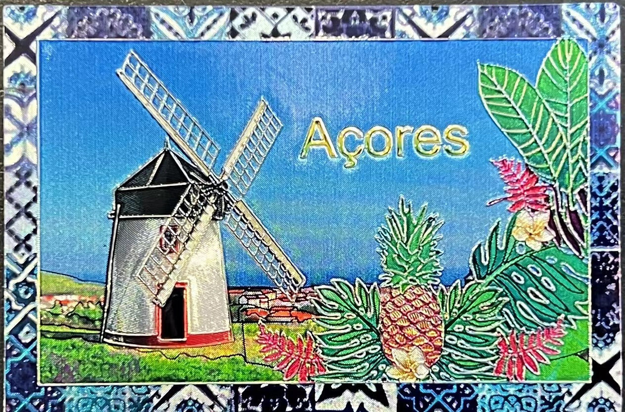 Iman em Chapa - Açores - P473