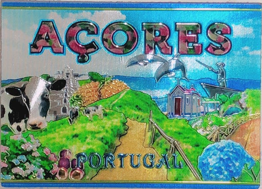 Iman em Chapa - Açores - PT-SZ1439