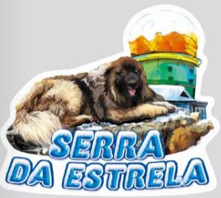 Iman em Madeira - Serra da Estrela - GY9002-27