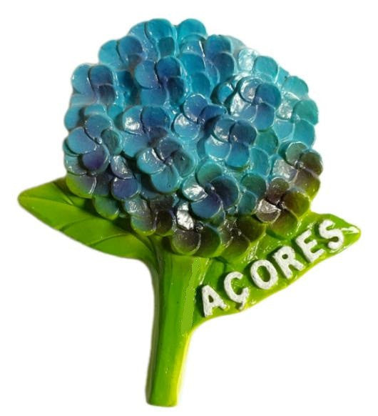 Iman em Resina - Açores - PT-LS6221
