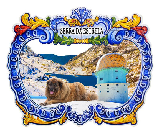 Iman em Resina - Serra da Estrela - PT-LS7820