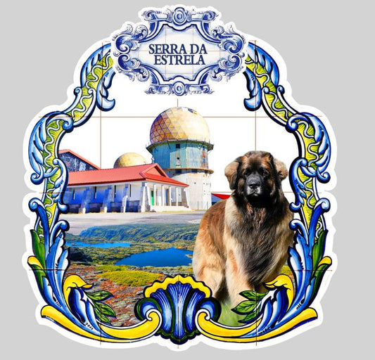 Iman em Resina - Serra da Estrela - PT-LS7838