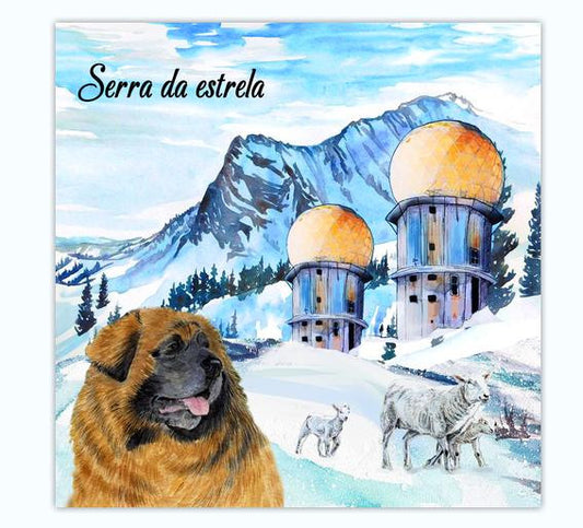 Iman em Resina - Serra da Estrela - PT-LS7842