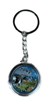 Porta Chaves - Açores - PT-SZ1929